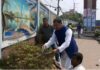 কাউন্সিলরের হাতে কাঁচি । সবুজ নগরীর প্রত্যয়ে গাছ পরিচর্যায় ড.নিছার।