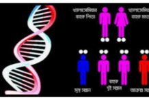 কমিউনিটি স্বাস্থ্যসেবা। বিয়ের আগে রক্ত পরীক্ষা করে থ্যালাসেমিয়া প্রতিরোধের আহবান