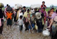 নাগরিকত্ব পেতে পারে রোহিঙ্গারা। মায়ানমারের রাজনীতিতে নাটকীয় পরিবর্তনের আভাস