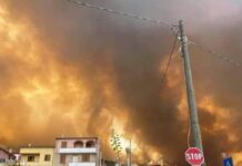 বাংলাদেশি কমিউনিটি অধ্যূষিত ইতালীয় দ্বীপ সার্দেনিয়ায় আগুন নিয়ন্ত্রণে